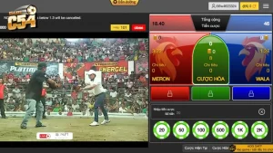 Giao diện game đá gà online hấp dẫn