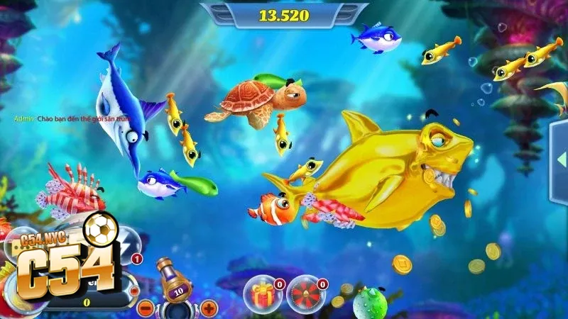 Bắn cá thần tài - Giải trí đỉnh cao, thưởng lớn bất ngờ Thời gian thích hợp trong bắn cá thần tài