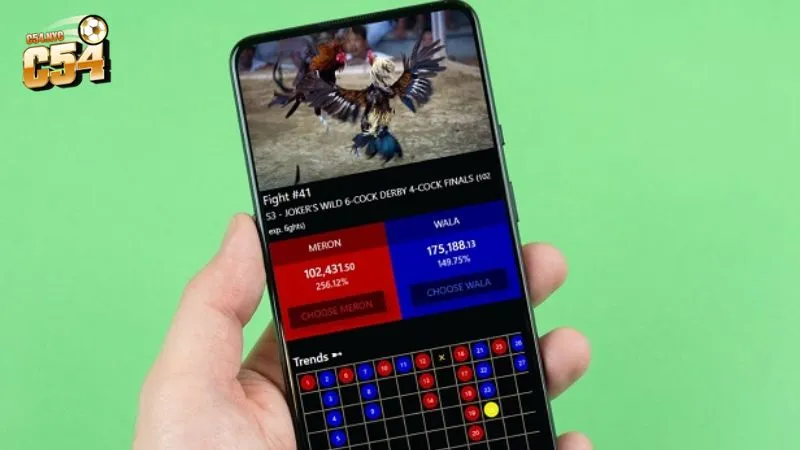 Đá gà mạng trực tiếp tốc độ cao, hình ảnh chất lượng Full HD Tổng quan về hình thức đá gà mạng trực tiếp